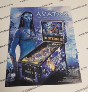 Avatar Flyer (Stern)