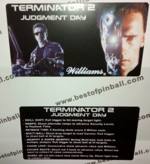 Terminator 2 Custom Cards (Williams)