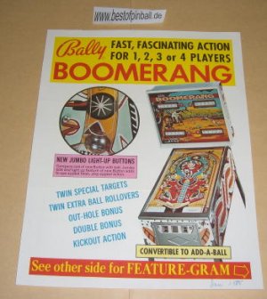 Boomerang Flyer
