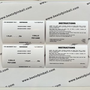 Defender Instruction Cards (Williams)